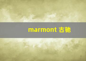 marmont 古驰